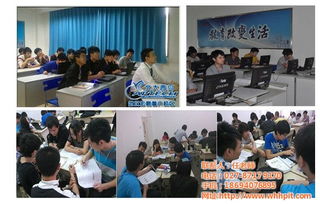 信息技术综合服务 从咨询到开发的全面解决方案